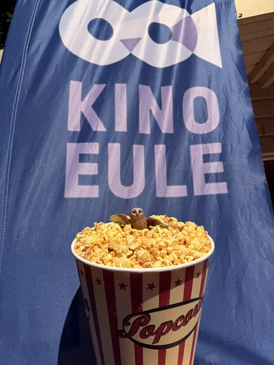 Bagno Open Air Kino